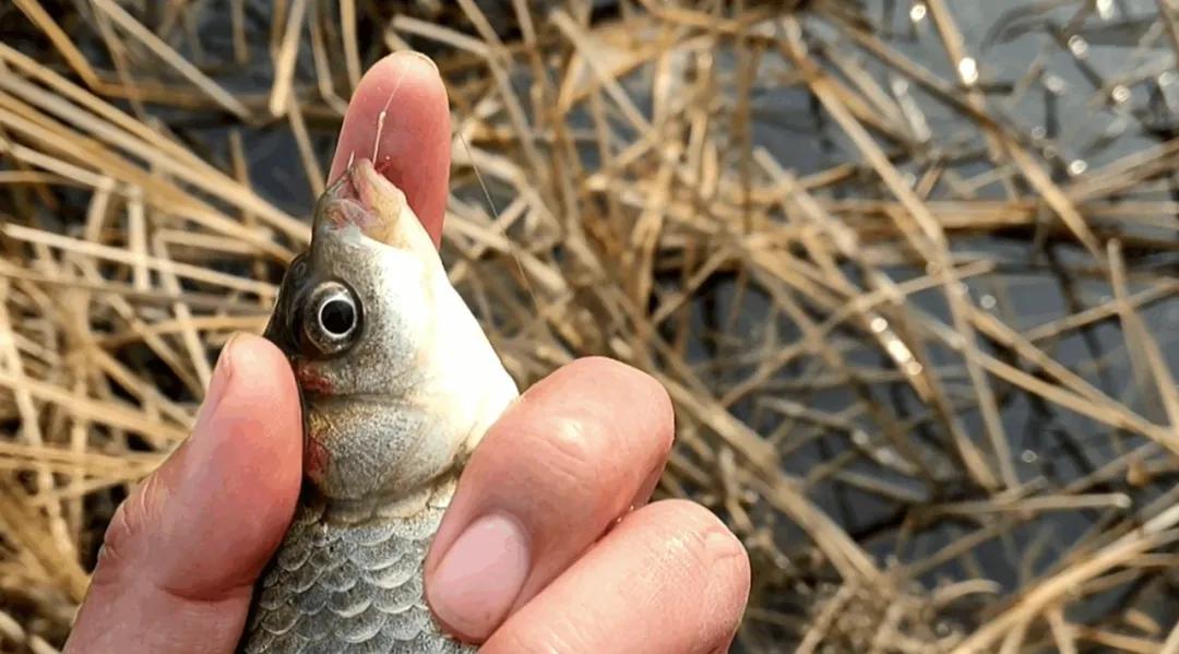 我们的目标, 边缘, 试探了一下