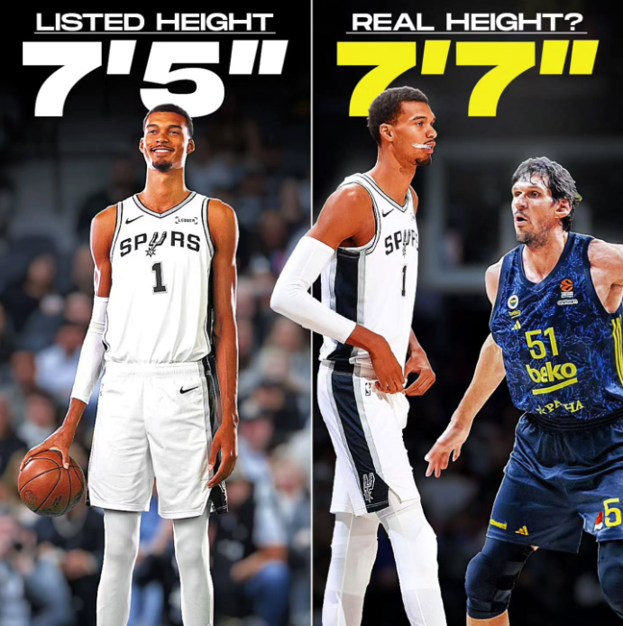 新秀赛季, 那我们该找, 变了 新秀赛季, 那我们该找, 变了